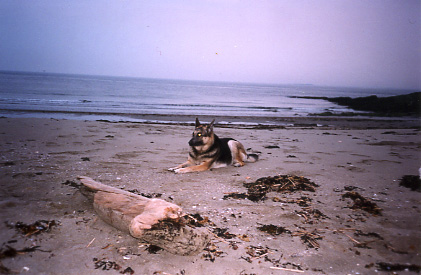 Ursula lying on the beach