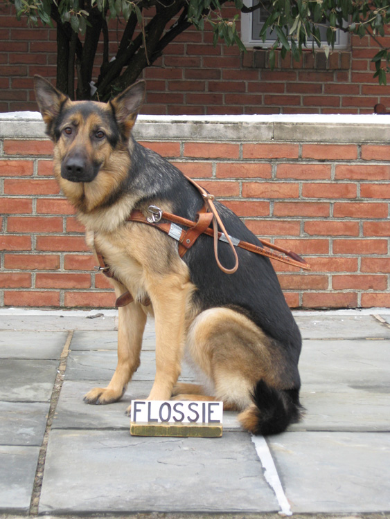 Flossie