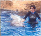 This is the first of four thumbnail photos of me swimming with and stroking a dolphin